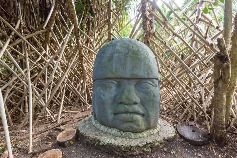 Cozumel: Chankanaab Park Admission+ Snorkel+ Welcome drink - When Conditions Are Rough: The One Risk You Can’t Ignore