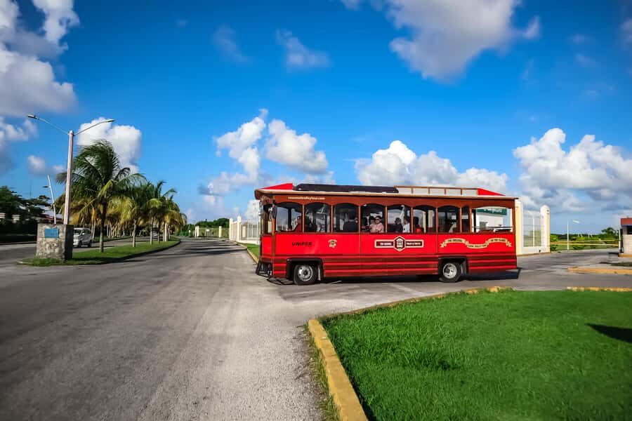 Cozumel: City Trolley Tour - Cozumel city trolley tour at a glance: what $50 buys