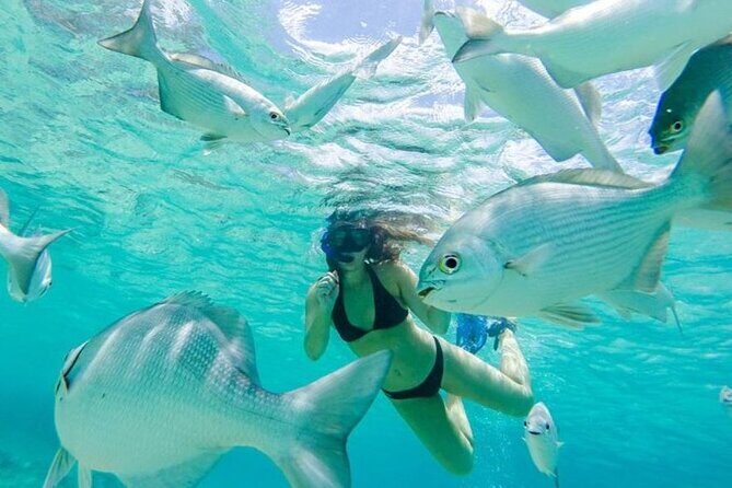 Cozumel: Day in Punta Sur Eco Park and Del Cielo Beach with Snorkeling - Mezcalera stop: free tasting that breaks up the day