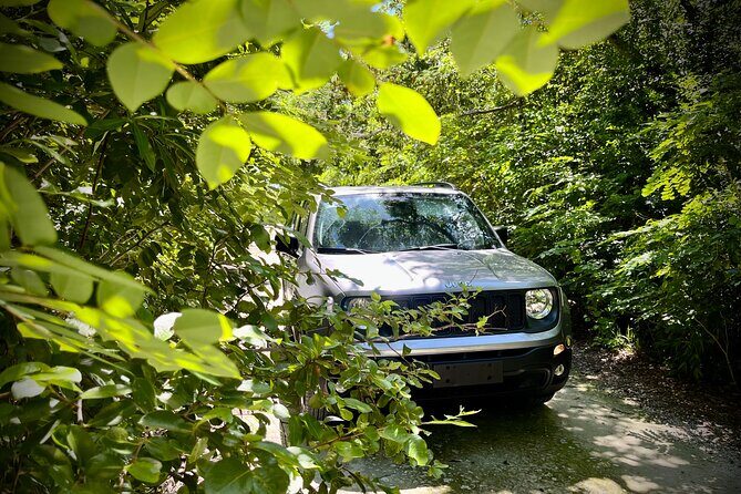 Cozumel: Discover Hidden Gems w/ Private guide - Tierra Maya: The Included Stop That Gives You Real Context