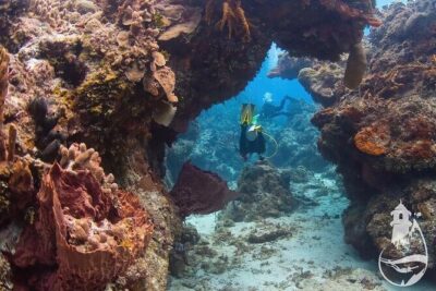 Cozumel: Discover Scuba Diving - Safety and instruction: what you’re really buying
