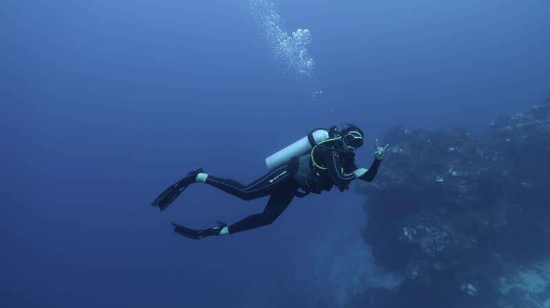 Cozumel: Discover Scuba Diving for Non-Certified Divers - First Underwater Session: The Calm Reef at 15 Feet