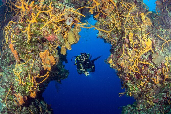 Cozumel Dive Package - Certified Divers from the Riviera Maya (4 dives) - Certification rules, refresher needs, and staying within your comfort box