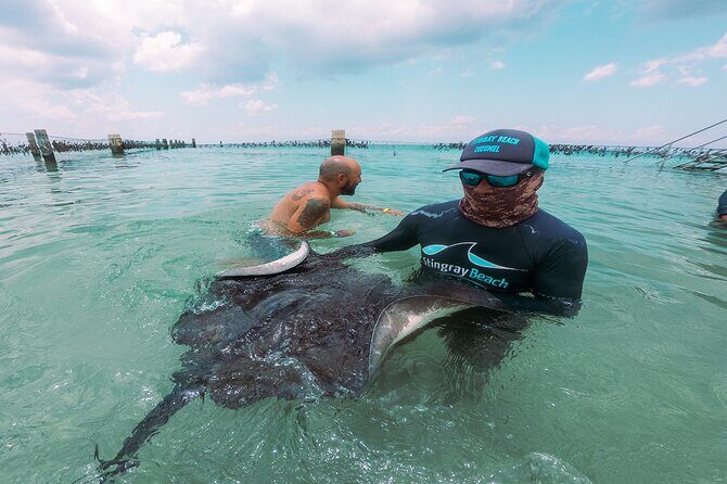 Cozumel Drive, Splash & Beach - Who should book this tour (and who should pass)