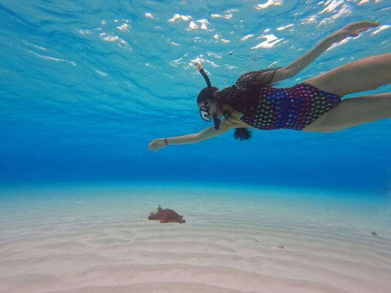 Cozumel, El Cielo: 4-Hour Private Tour - Price and Value: Is $641 Per Group Worth It for Up to 6?