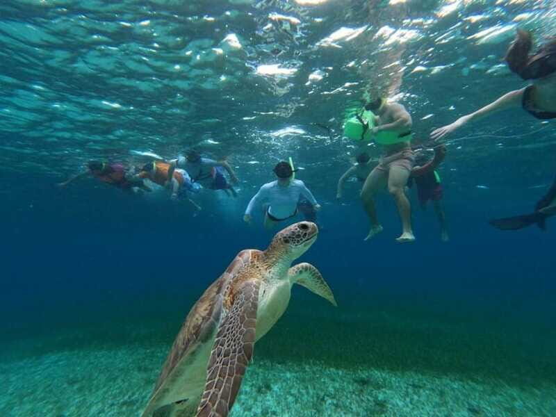 Cozumel, El Cielo: 4-Hour Shared Snorkeling Tour - Shared-Group Reality Check: Pace, Language, and Safety Prep