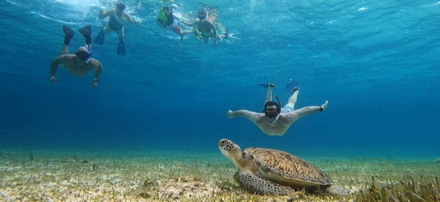 Cozumel, El Cielo: 4-Hour Shared Snorkeling Tour - Finding El Mayor and Getting Ready: Blue Umbrella, No-Sunscreen-On-Board Rule