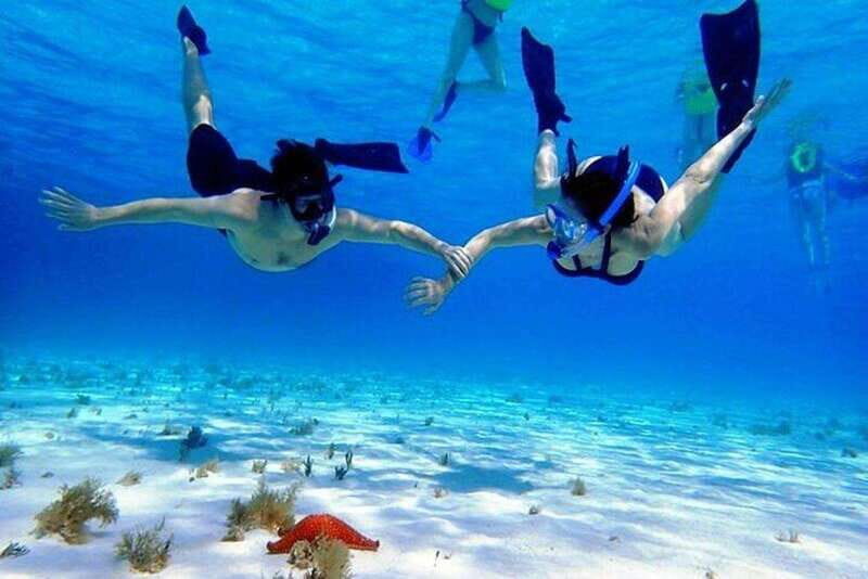 Cozumel El Cielo Sandbar and Reef Snorkeling Tour - Key reasons this Cozumel tour works