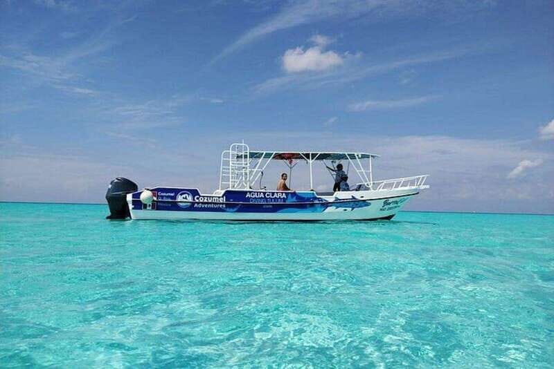 Cozumel El Cielo Sandbar and Reef Snorkeling Tour - A 5-hour reef-and-sandbar plan that feels like your day