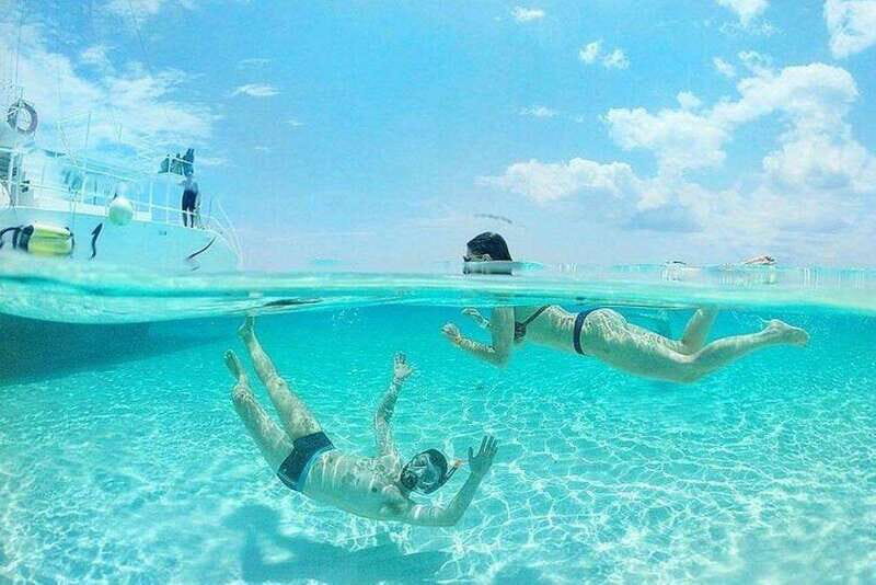 Cozumel El Cielo Sandbar and Reef Snorkeling Tour - Palancar Reef: reef structure that makes animals easy to find