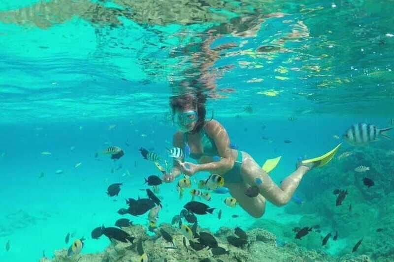 Cozumel El Cielo Sandbar and Reef Snorkeling Tour - El Cielo sandbar: shallow, starfish-on-sand magic