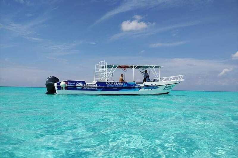 Cozumel El Cielo Sandbar and Reef Snorkeling Tour - Who should skip (or reconsider)