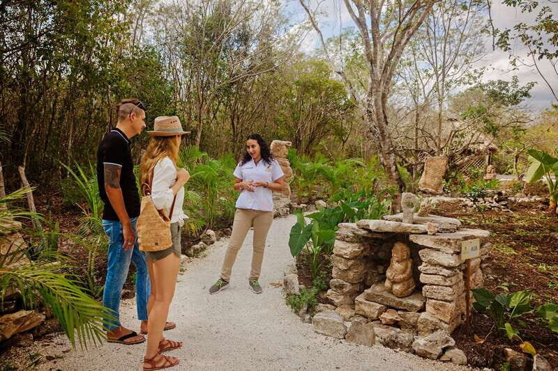Cozumel: General Entrance to Mayan Bee Sanctuary - Inside the meliponary: how a stingless Melipona hive is organized