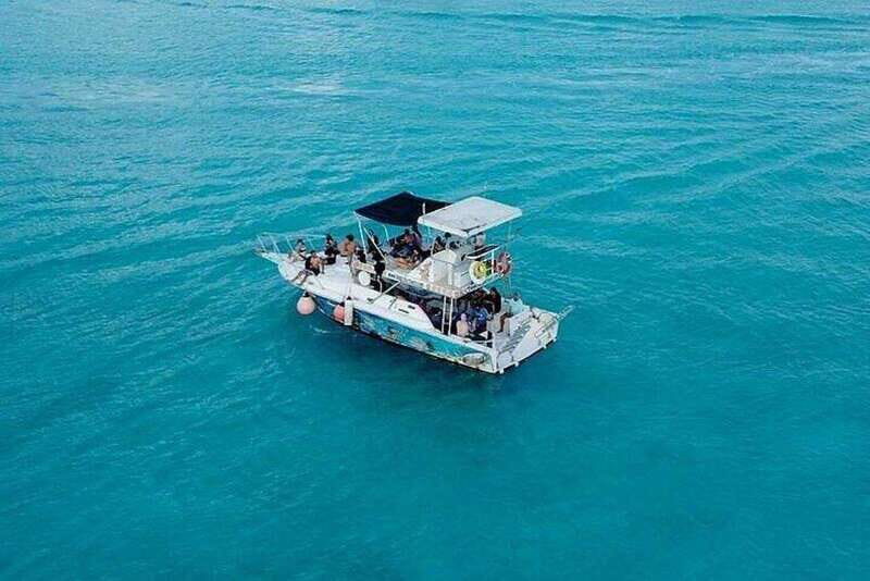 Cozumel: Glass-bottom Boat Snorkeling Adventure - Palancar Reef: your second reef stop should add more than just time