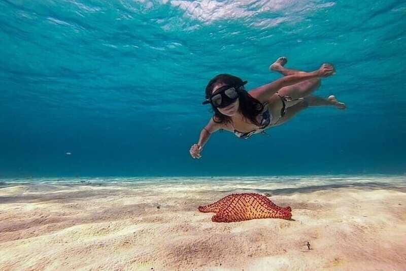 Cozumel: Glass-bottom Boat Snorkeling Adventure - Booking verdict: should you sign up for this Cozumel tour?