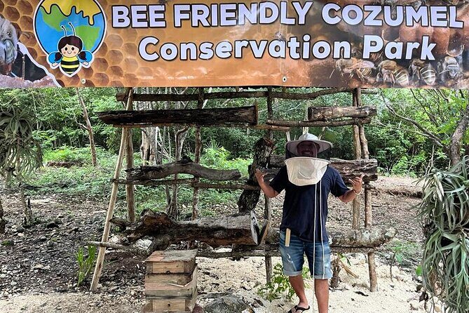 Cozumel: Hands-On Chocolate, Tortilla, Salsa & Honey Experience - Key highlights you’ll actually notice
