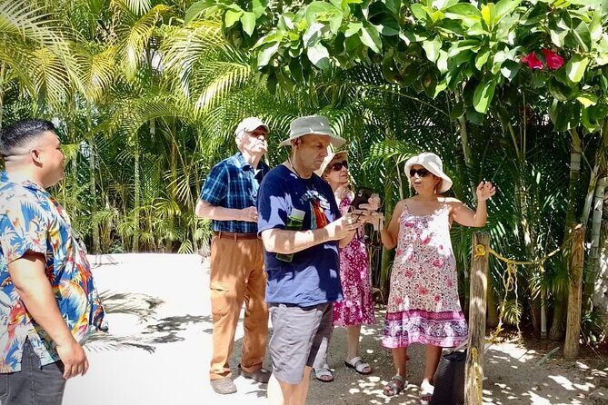 Cozumel: Hands-On Chocolate, Tortilla, Salsa & Honey Experience - Honey tasting: sacred Melipona and another bee species