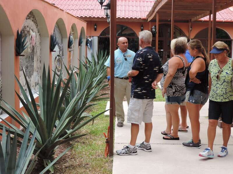 Cozumel: Historical Driving Tour by VW Buggy with Snorkeling - How the VW Buggy tour works: manual transmission and car sharing