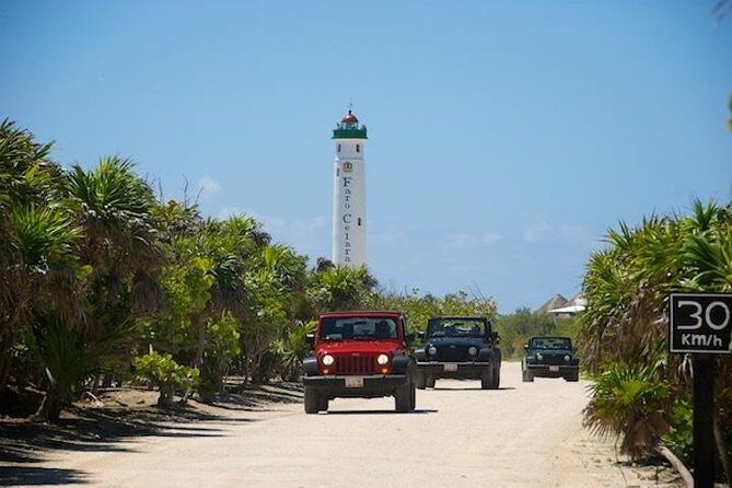 Cozumel Jeep Tour from Cancun and Riviera Maya - Seashell tomb, birds, and yellow crocodiles at Colombia Lagoon