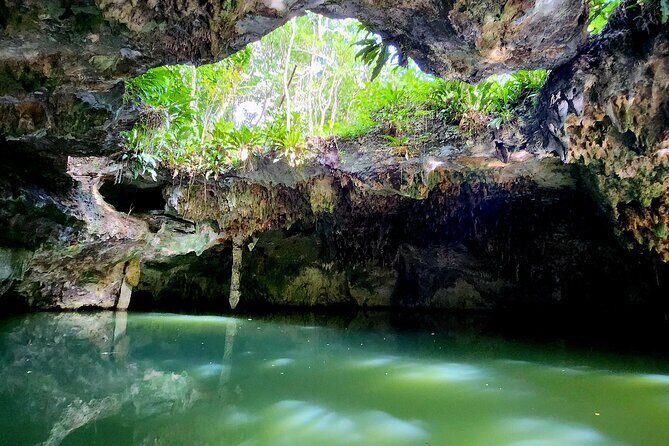Cozumel Jungle ATV Tour Adventure and Caverns with transfer - What You Actually Get for $65 in Cozumel