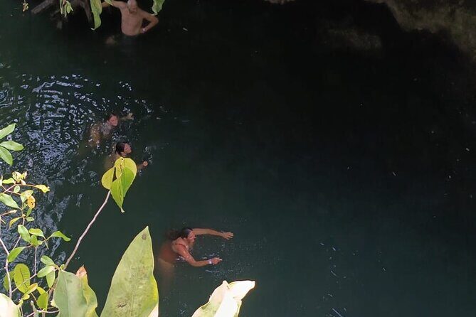 Cozumel Jungle ATV Tour Adventure and Caverns with transfer - Fees, Tips, and What’s Not Actually Hidden