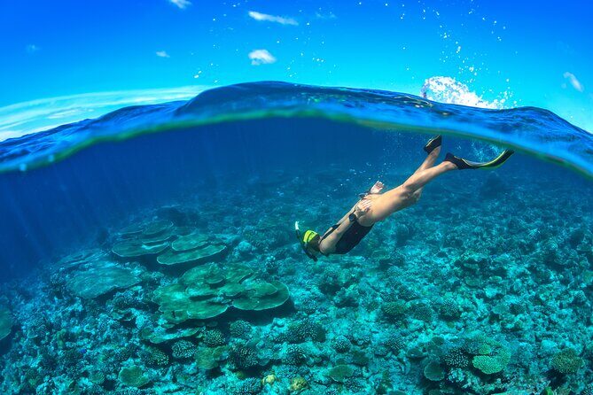 Cozumel Luxury Sailing & Snorkeling Cruise Experience - Paddleboard Time Without the Chaos