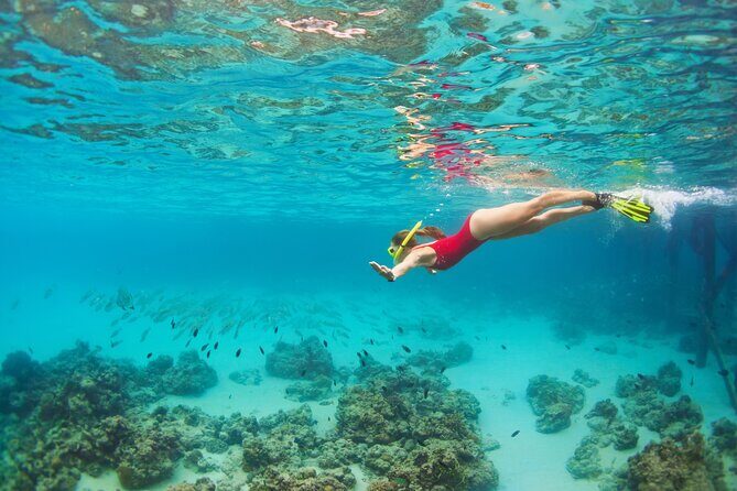 Cozumel Luxury Sailing & Snorkeling Cruise Experience - What the Two Timescales Mean for Your Day