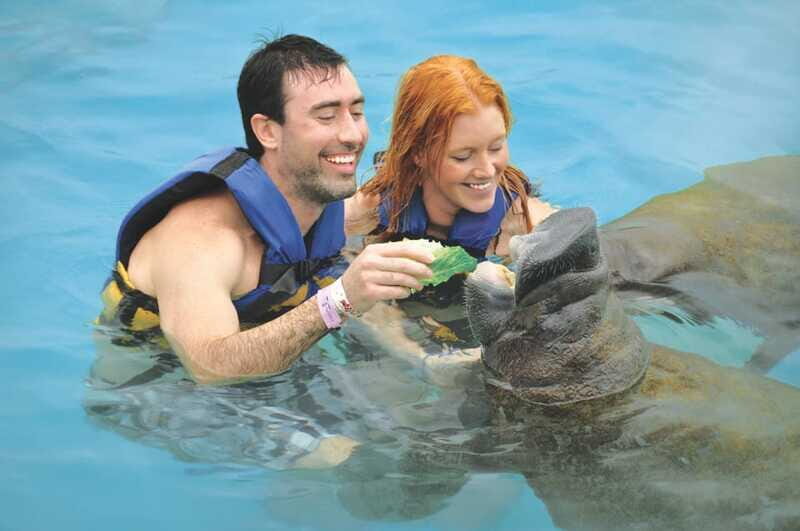 Cozumel: Manatee Encounter, Chankanaab Admission and Buffet - Should You Book This Cozumel Manatee + Chankanaab Combo?