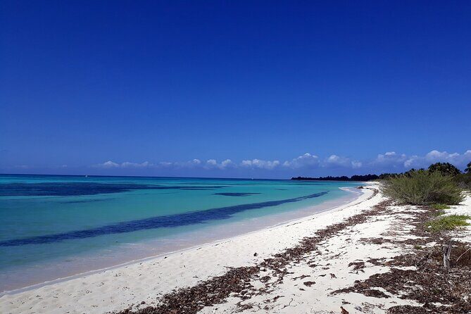 Cozumel National Park and Beach Break: Private Tour - Price and what it covers (and what it doesn’t)