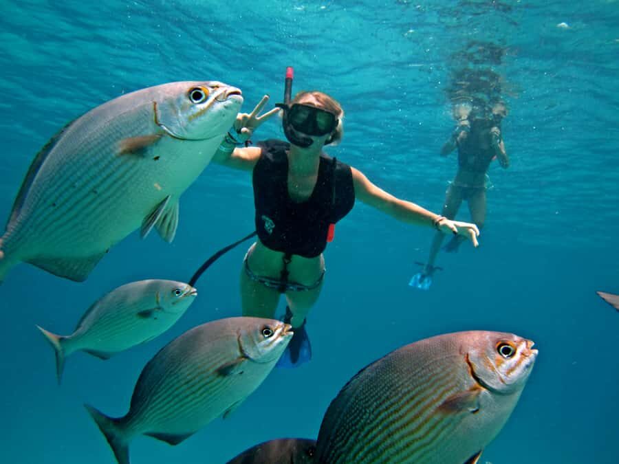 Cozumel: Official Chankanaab Park and Snorkeling with Lunch - Price and value: $53 plus the marine fee reality