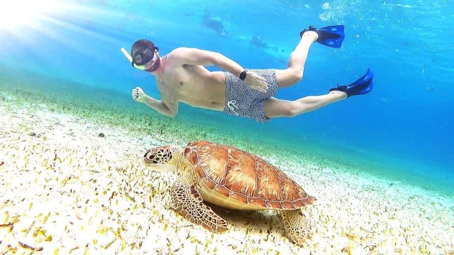Cozumel: Palancar, Columbia and Cielo Reefs Snorkeling Tour - A 4-hour Reef-and-Sandbar Snorkel Route from Marina Cozumel