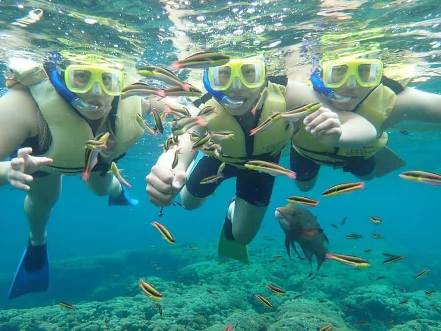 Cozumel: Palancar, Columbia and Cielo Reefs Snorkeling Tour - Boat Comfort, Drinks, and Fish Ceviche After You Snorkel