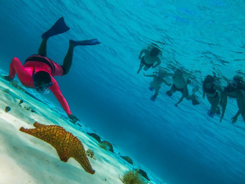 Cozumel: Palancar, Columbia and Cielo Reefs Snorkeling Tour - Price and Value: $52 Plus the $11 Marine Fee