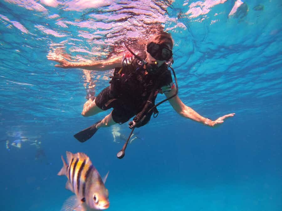 Cozumel: Palancar, Columbia and Cielo Reefs Snorkeling Tour - Should You Book the Palancar, Columbia and Cielo Tour?