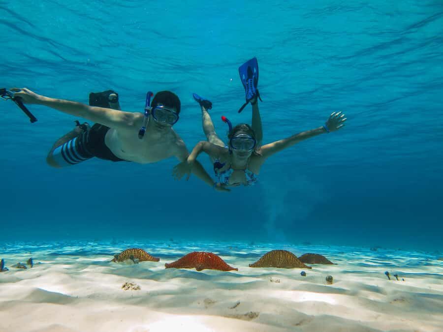Cozumel: Palancar, Columbia and Cielo Reefs Snorkeling Tour - Palancar and Columbia Reefs: What You’ll See in the Water