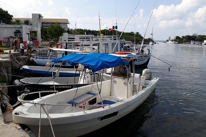 Cozumel Private 4-Hour Boat Tour to Passion Island - Stop 2: the sunken ferry for shallow-water coral and fish
