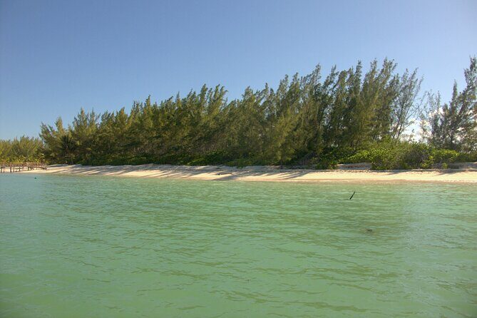 Cozumel Private 4-Hour Boat Tour to Passion Island - Water clarity isn’t luck: wind and currents decide your view