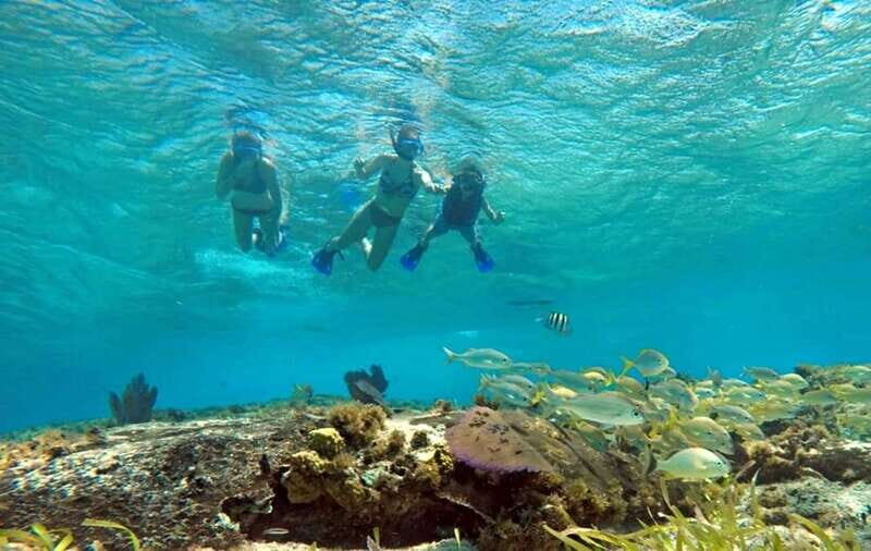 Cozumel: Private Charter Boat and Snorkel Day Trip - Why a private charter on Cozumel waters feels worth it