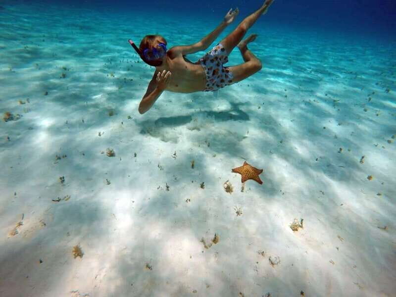 Cozumel: Private Charter Boat and Snorkel Day Trip - Price and value: $799 for up to 6 people