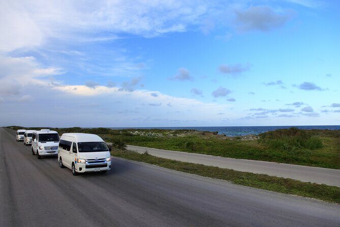 Cozumel Private Shuttle For Groups to Top Beach Clubs - Round-Trip Timing: Getting to the Beach Club and Back