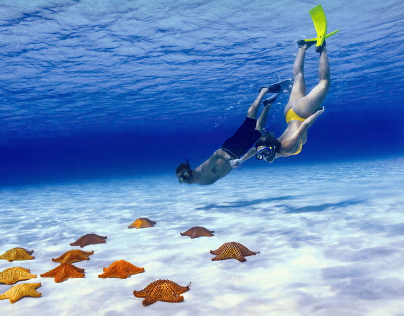 Cozumel: Private Snorkel Tour El Cielo + 3 Reefs Food Drinks - Key points I think you’ll care about