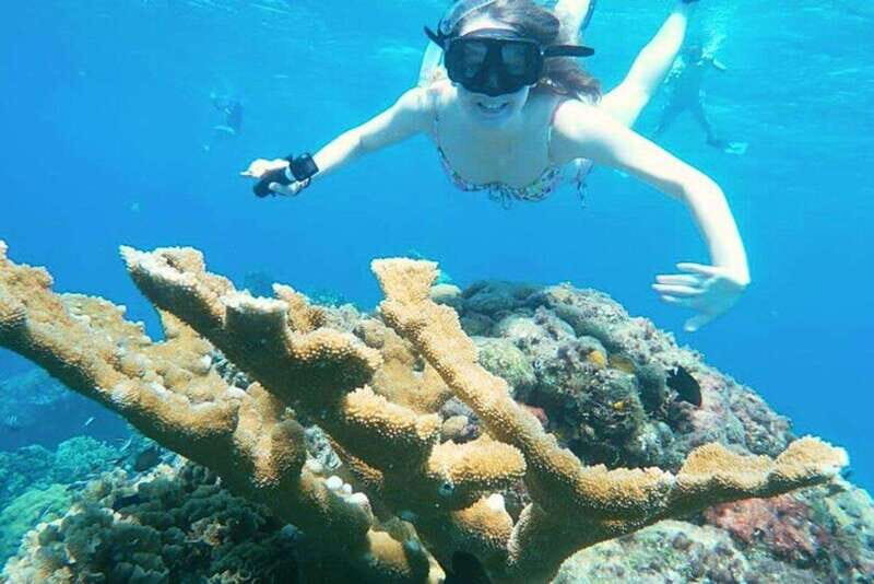 Cozumel: Private Snorkel Tour El Cielo + 3 Reefs Food Drinks - Private boat, five people max, and a price that can make sense