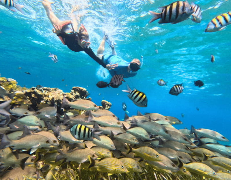 Cozumel: Private Snorkel Tour El Cielo + 3 Reefs Food Drinks - How a 3-hour trip covers four reef areas without feeling rushed