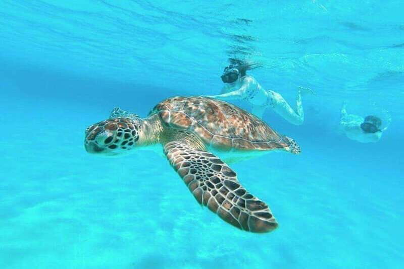 Cozumel: Private Snorkel Tour El Cielo + 3 Reefs Food Drinks - San Francisco Beach Club start: short taxi ride and smooth handoff