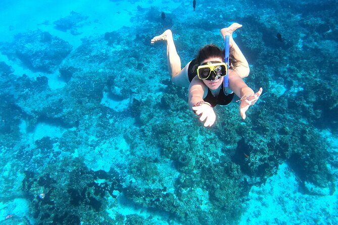 Cozumel Private Snorkeling and Charter Experience - Stop 2: Columbia Reef for Stingrays, Starfish, and Bigger Encounters