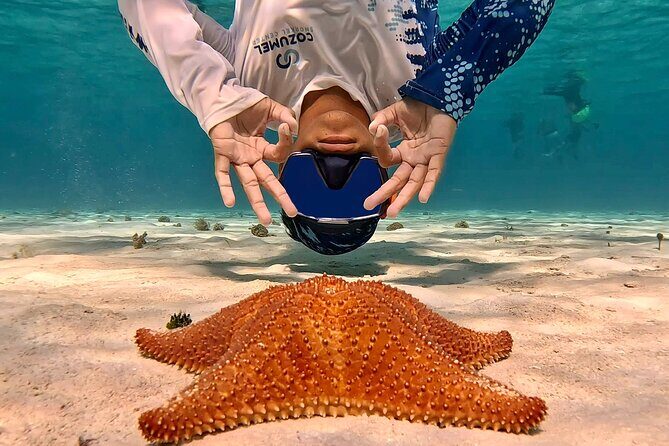 Cozumel Private Snorkeling and Charter Experience - Food and Drinks at Sea: More Than a Snack Box