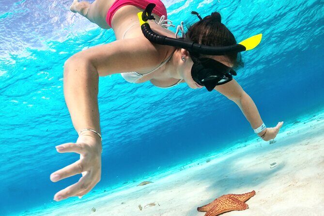 Cozumel Private Snorkeling and Charter Experience - The Route Reality Check: How Flexible Times and Weather Shape Your Day
