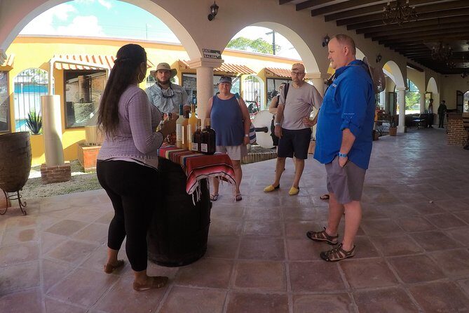 Cozumel Private Van Service with Snorkel Tour - Snorkeling in the Caribbean: gear is included, shoreline matters