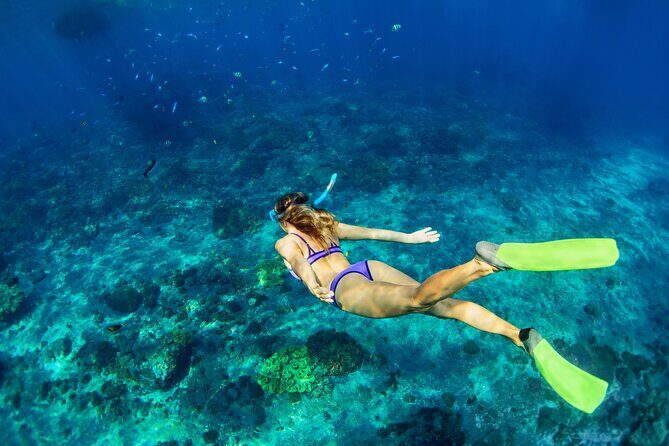 Cozumel Reef Snorkeling Tour - Pickup, Ferry Fees, and How Long the Day Really Takes