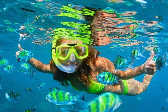 Cozumel Reef Snorkeling Tour - Small Group Size: Why Max 20 Can Feel Better